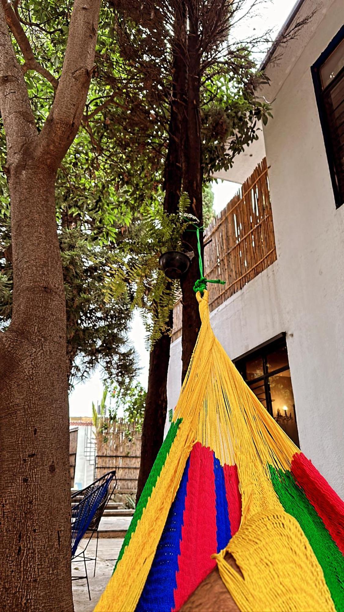 Xitla Hostel Oaxaca Ngoại thất bức ảnh